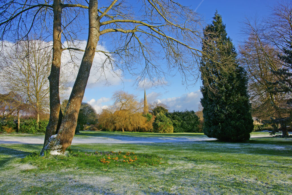 entretenir son jardin en hiver à Albi